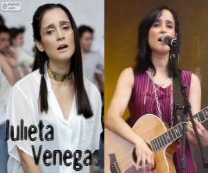 Puzzle Julieta Venegas, είναι ένας Μεξικανός τραγουδιστής